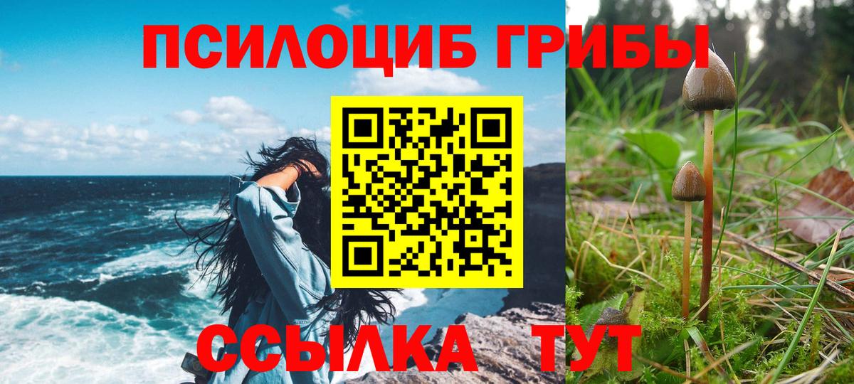 Галлюциногенные грибы мицелий Родники