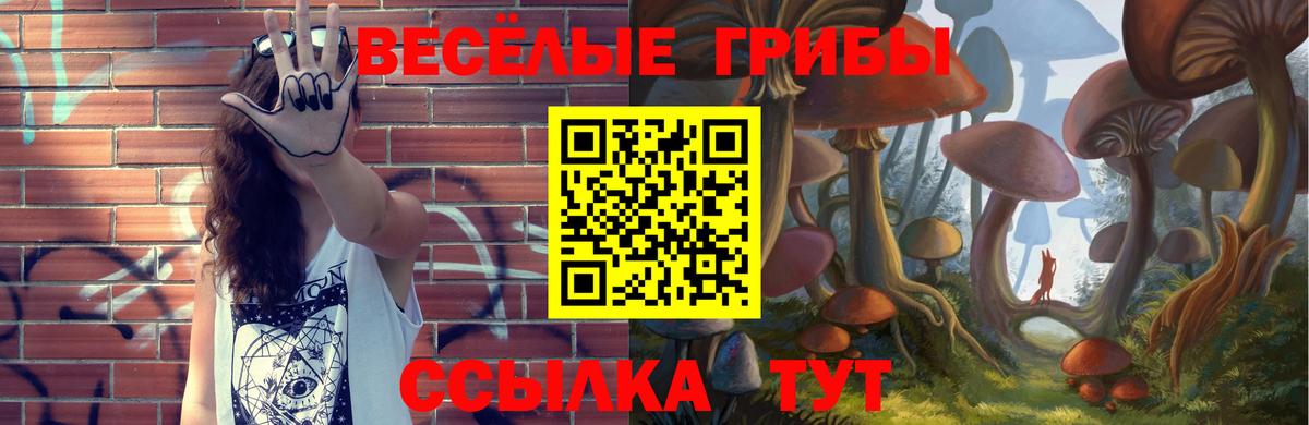 Родники  Псилоцибиновые грибы GOLDEN TEACHER  Вход с VPN 